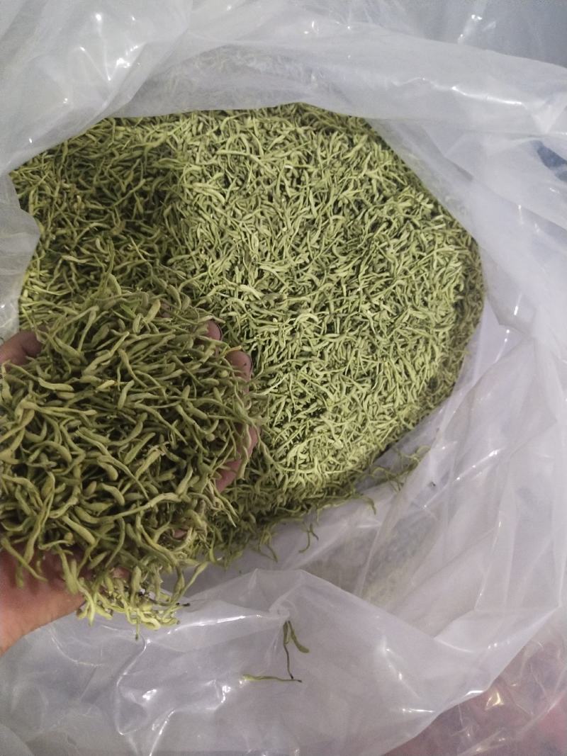 金银花