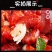 【含冰衣】龙虾尾冷冻无冰衣一级龙虾尾去头龙虾球包邮