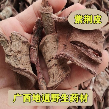 野生紫荆皮白林皮紫荆木皮全国发货