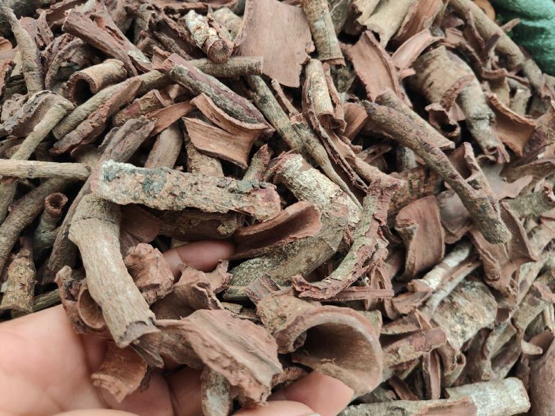 野生紫荆皮白林皮紫荆木皮全国发货