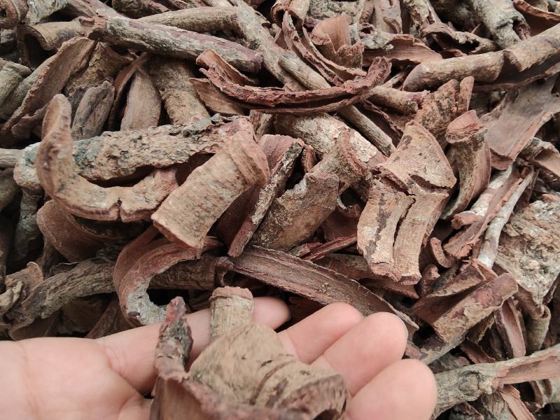 野生紫荆皮白林皮紫荆木皮全国发货