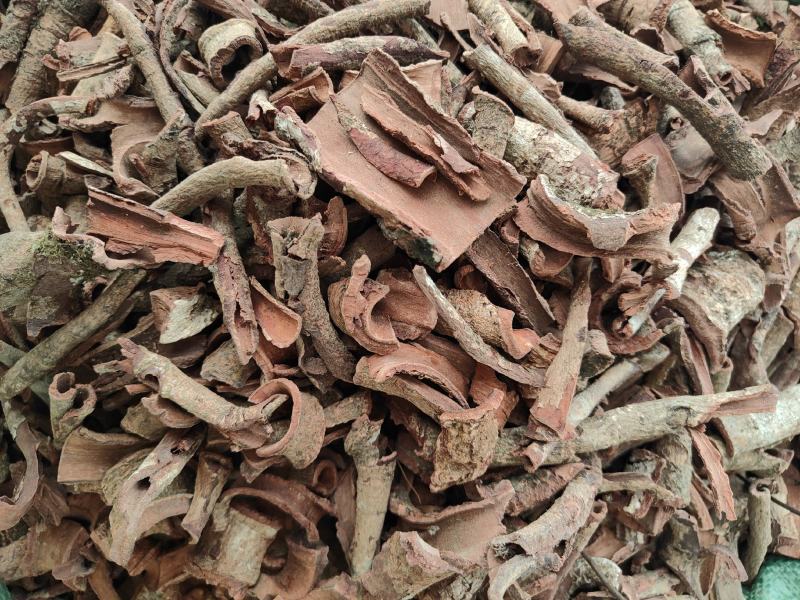 野生紫荆皮白林皮紫荆木皮全国发货