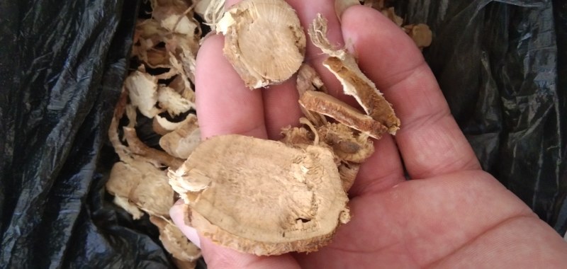 河南苦参统货，一手货源货量充足，视频看货对接全国