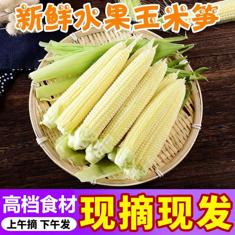 【产地】【支持一件代发】甜玉米笋新鲜蔬菜多规格包邮