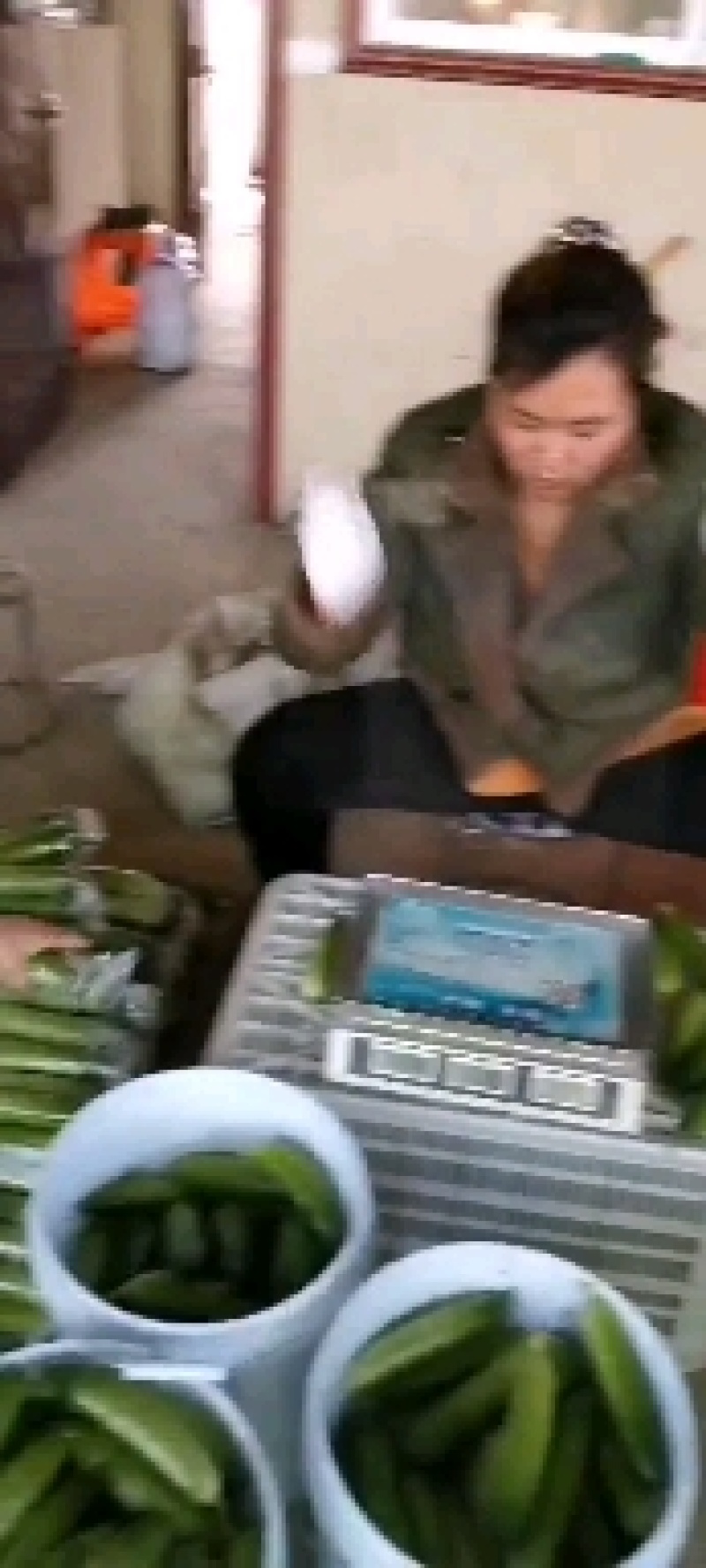 山东平度旱黄瓜大量上市！！！！！！！！！