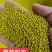 菊苣种子优质高产牧草多年生四季种植将军菊苣高产量