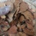 云南野生中药材过江龙过岗龙500g包邮