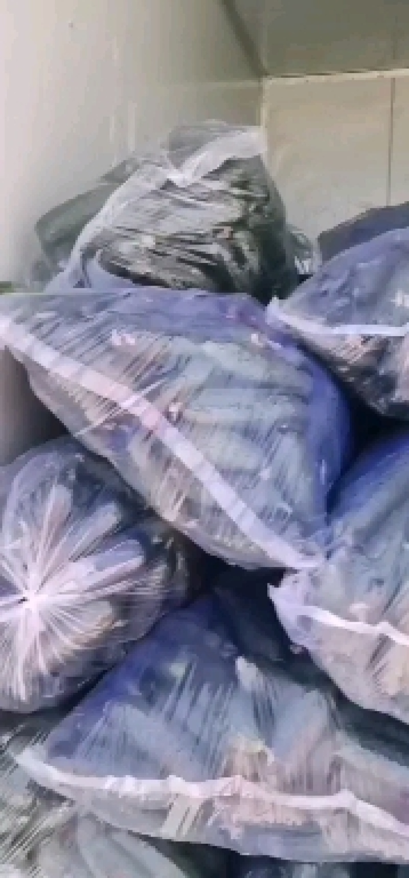玛莎水果黄瓜
