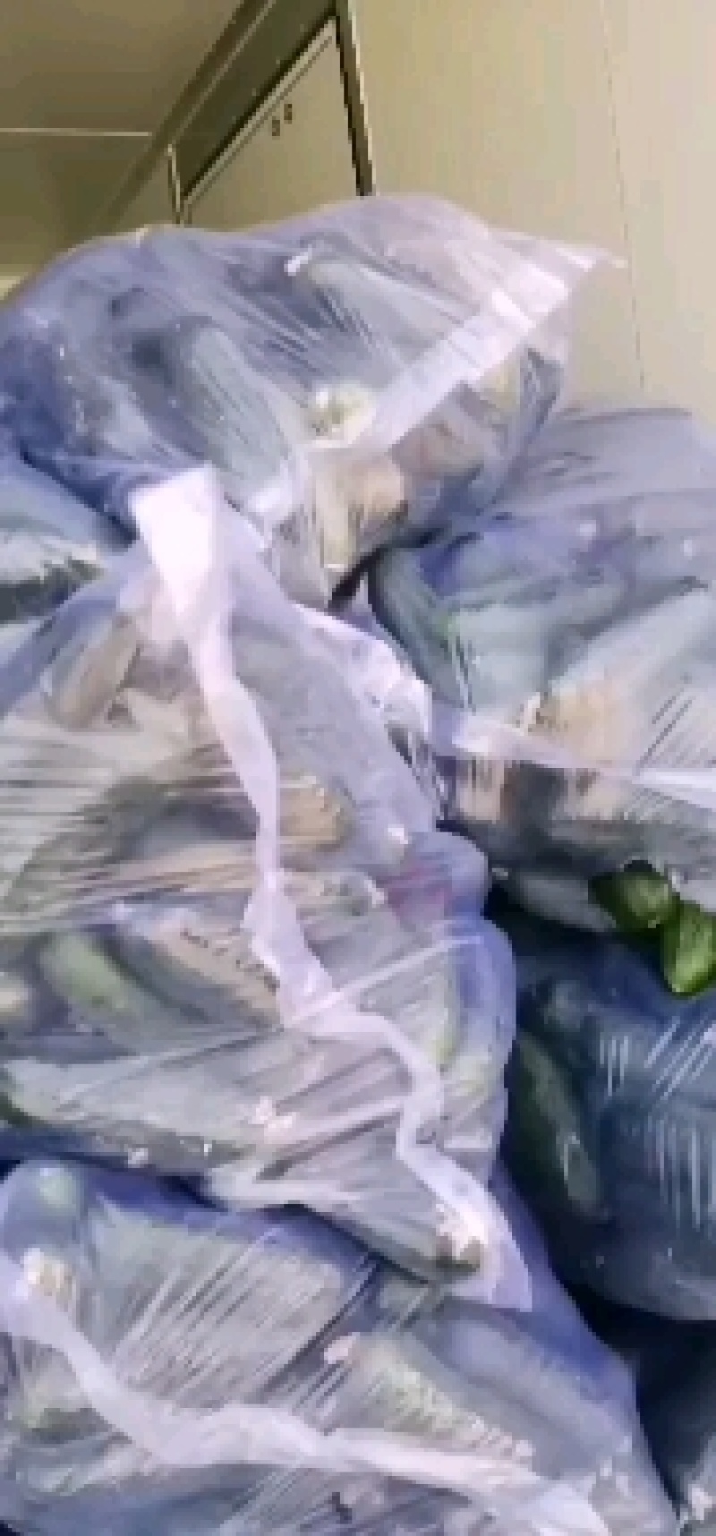 玛莎水果黄瓜