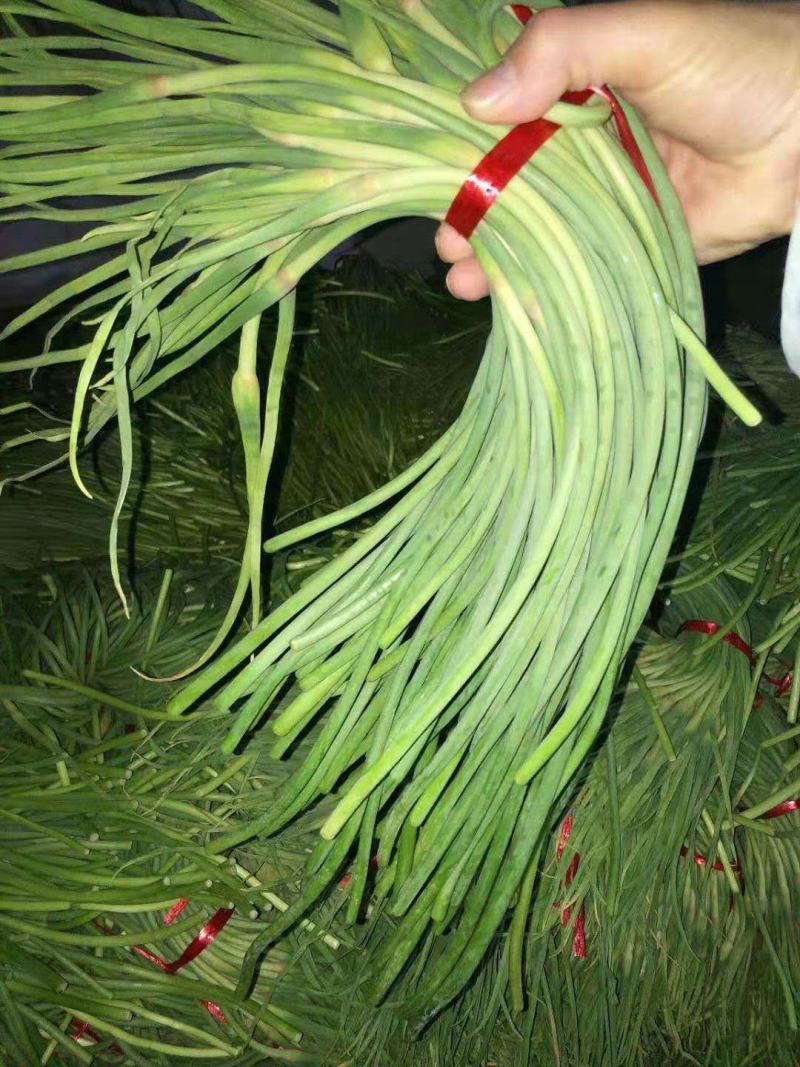 蒜苔