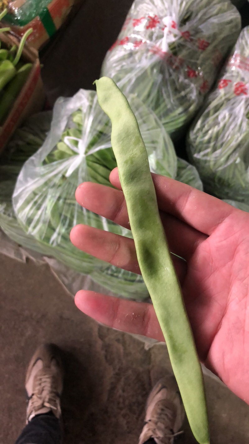 需要刀豆的可以联系我