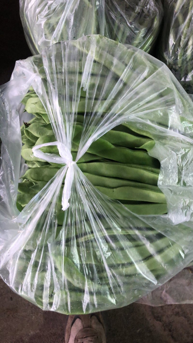 需要刀豆的可以联系我