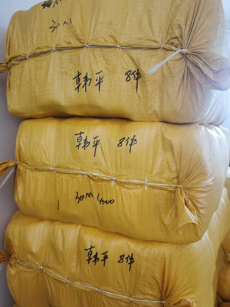 无纺布葡萄套袋桃子梨子芒果樱桃苹果柑橘等水果套袋批发