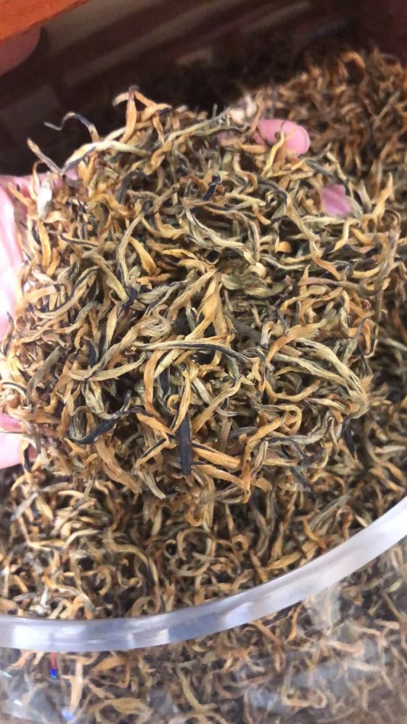 明前春茶云南滇红茶A级纯单芽金丝滇红功夫红茶包