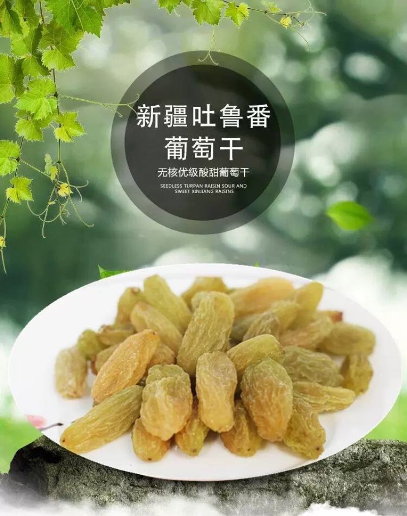 新疆哈密大颗粒葡萄干免洗支持一件代发包邮无添加自然晾晒现