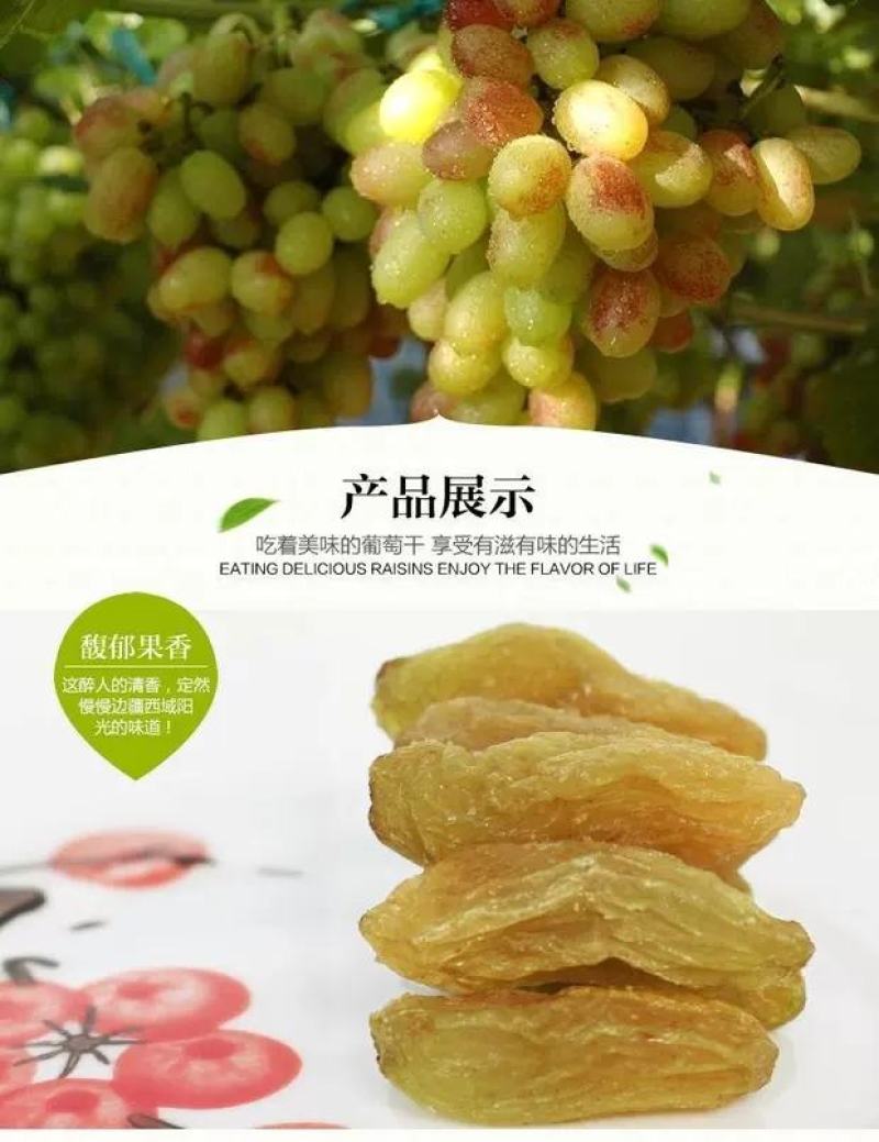 新疆哈密大颗粒葡萄干免洗支持一件代发包邮无添加自然晾晒现