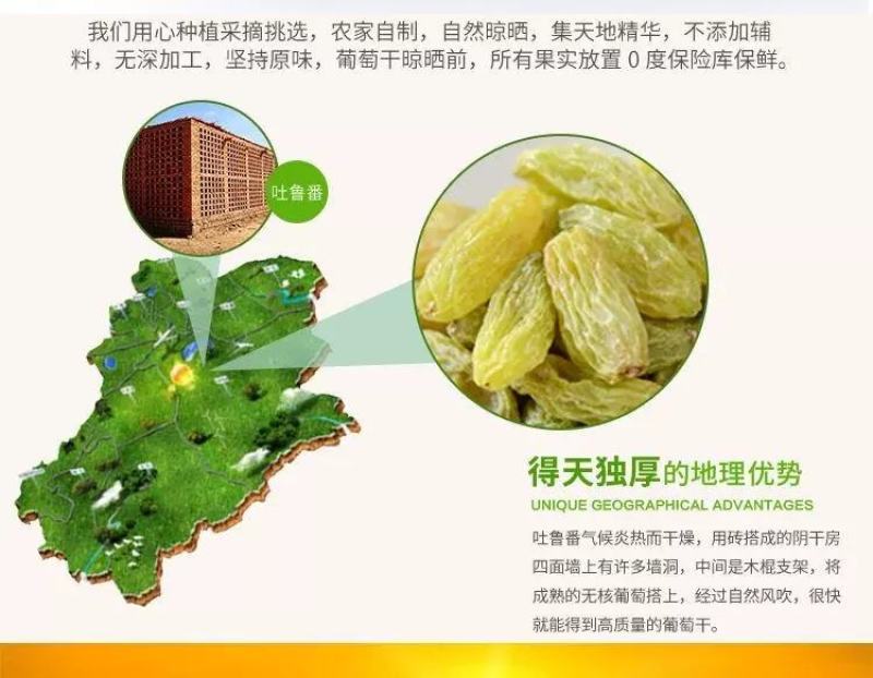 新疆哈密大颗粒葡萄干免洗支持一件代发包邮无添加自然晾晒现