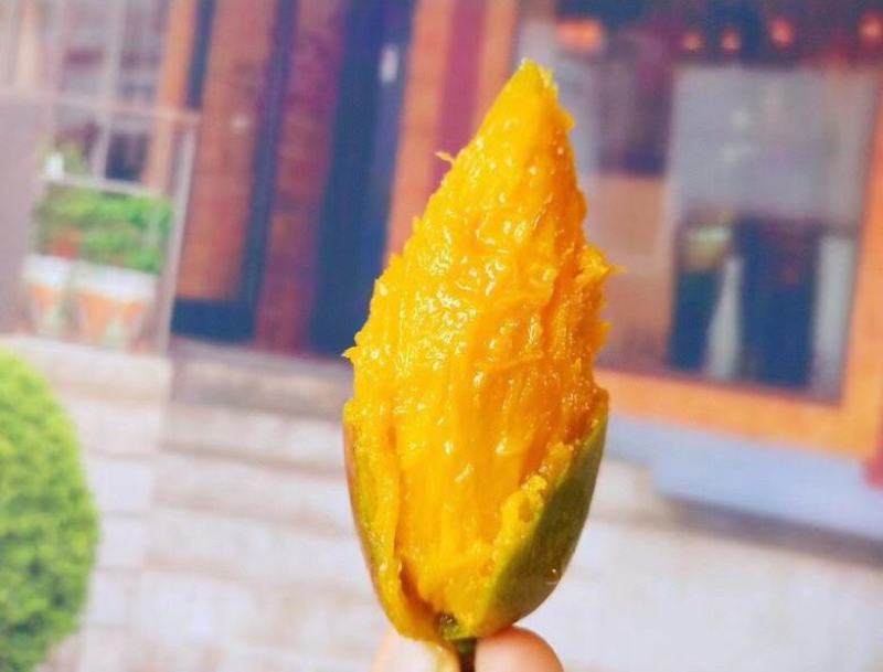 云南彩虹辣椒芒