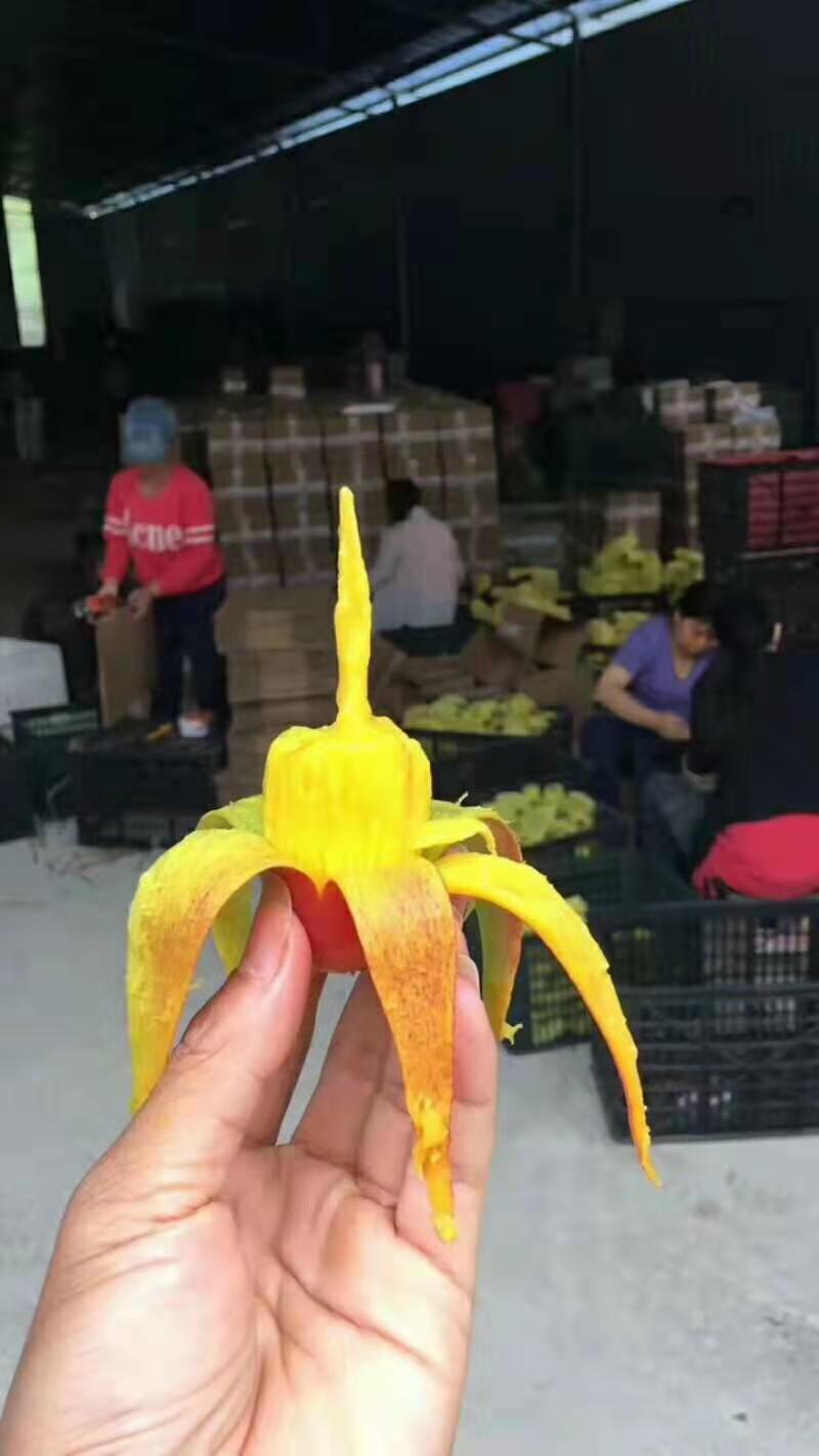 云南彩虹辣椒芒