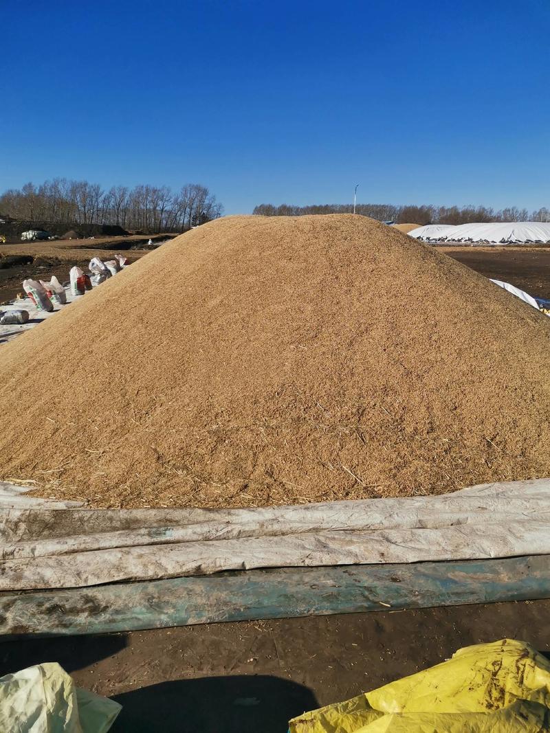 2020年黑龙江省建三江市的长粒香型水稻。大米