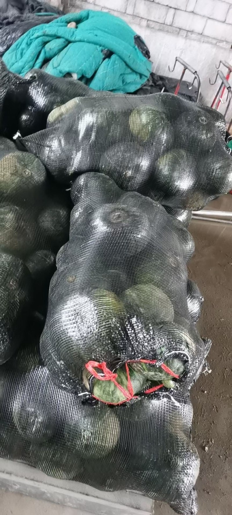 优质，板栗南瓜大量上市，需要的请联系，欢迎选购