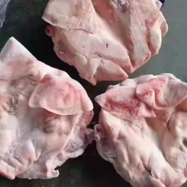 猪头，国产肥猪带耳猪头，有感兴趣的老板欢迎光临！