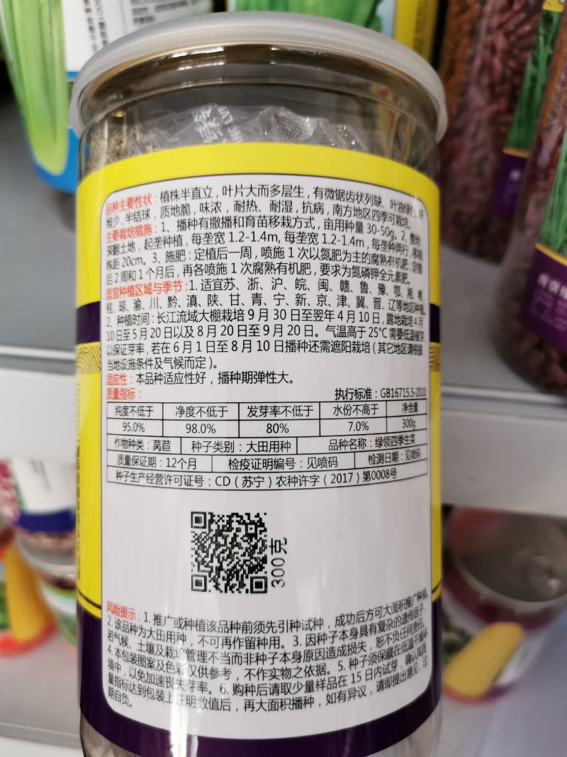 全年耐抽苔生菜种子耐雨抗病生菜种子300克原装