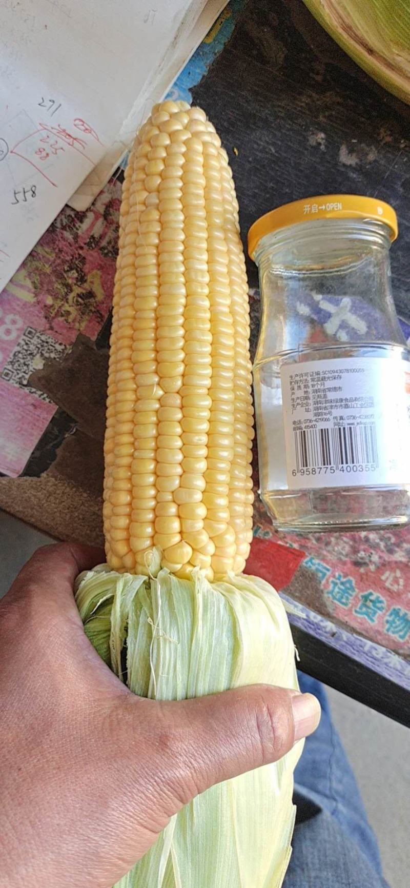 太阳花水果甜玉米，八两保底，质量好，欢迎新老客户联系