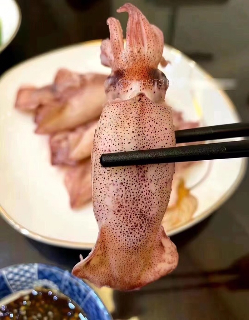 南澳岛，星空夜晚灯照尔仔，灯照一口尔仔鱿鱼仔。。。