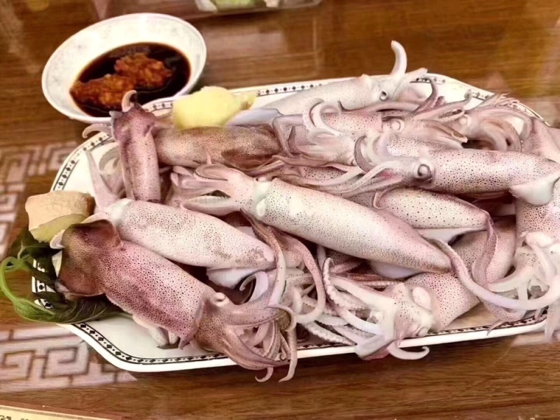 南澳岛，星空夜晚灯照尔仔，灯照一口尔仔鱿鱼仔。。。