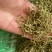 金银花湖南茶花无硫磺无杂质一手货源批发零售