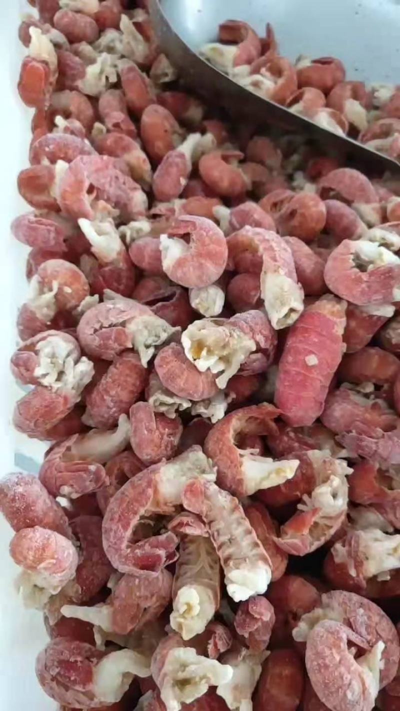 龙虾尾无冰一手货源