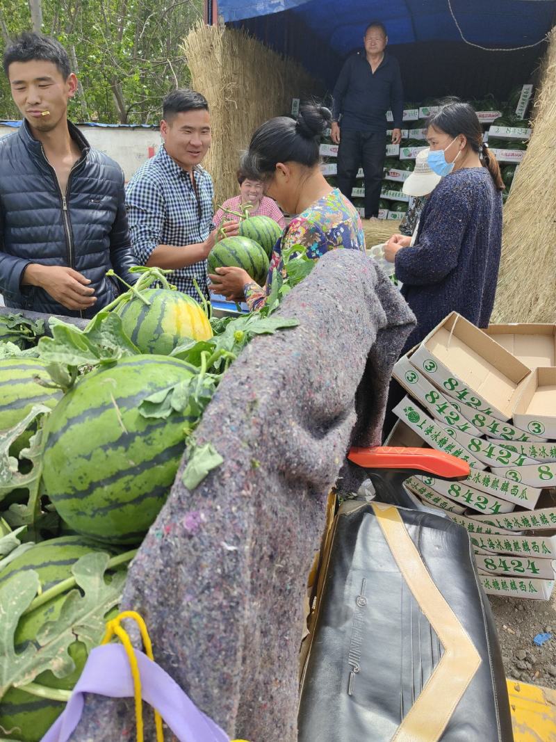 【热销】美都西瓜精瓤口多汁产地直发对接电商超市欢迎合作