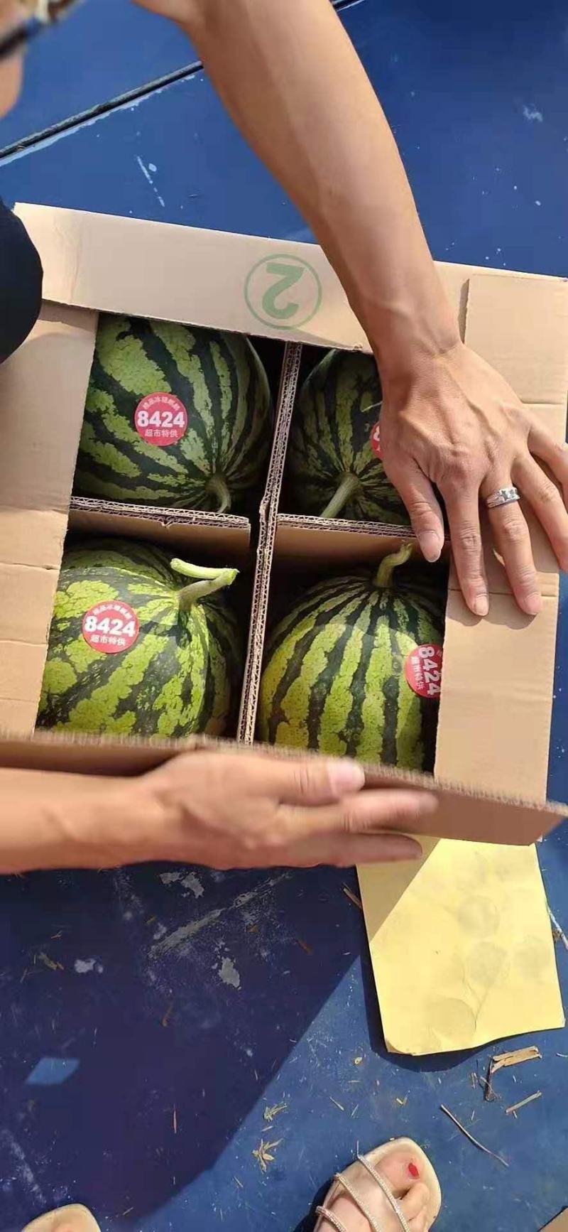 【推荐】安徽太和美都大棚麒麟西瓜无籽瓜瓤口多汁口感纯正