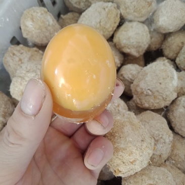 五香黄金鸭皮变蛋