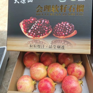 会理软籽石榴，皮薄汁多，种高品质石榴，只为榴住你！