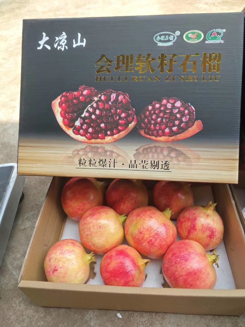会理软籽石榴，皮薄汁多，种高品质石榴，只为榴住你！