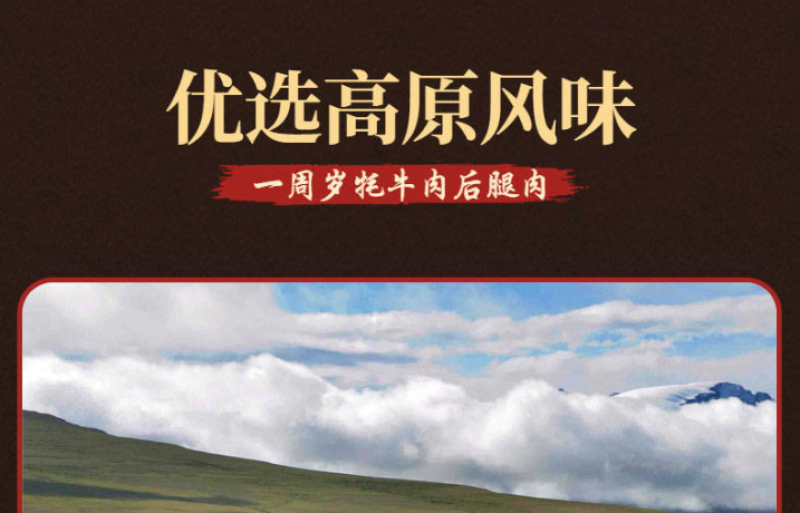 正宗四川九寨沟正宗手撕风干牦牛肉干麻辣四川特产牛肉干零食