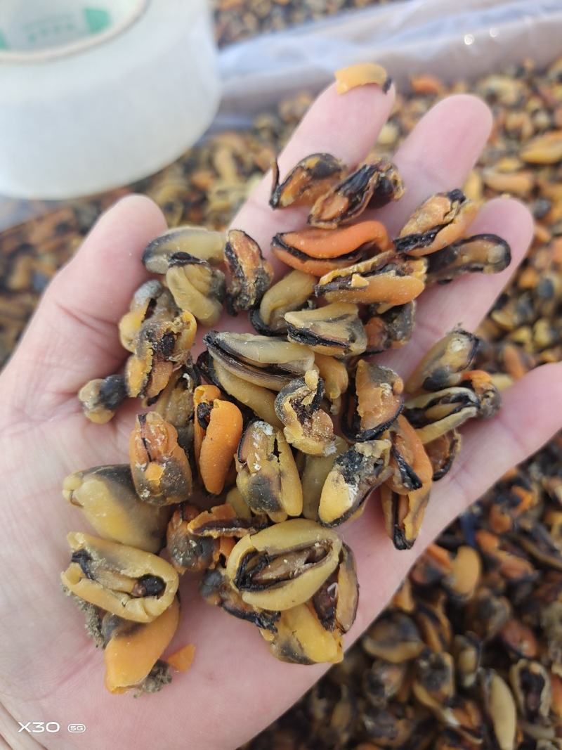 贻贝淡菜干海虹干新货无沙十足干一手货源产地直供