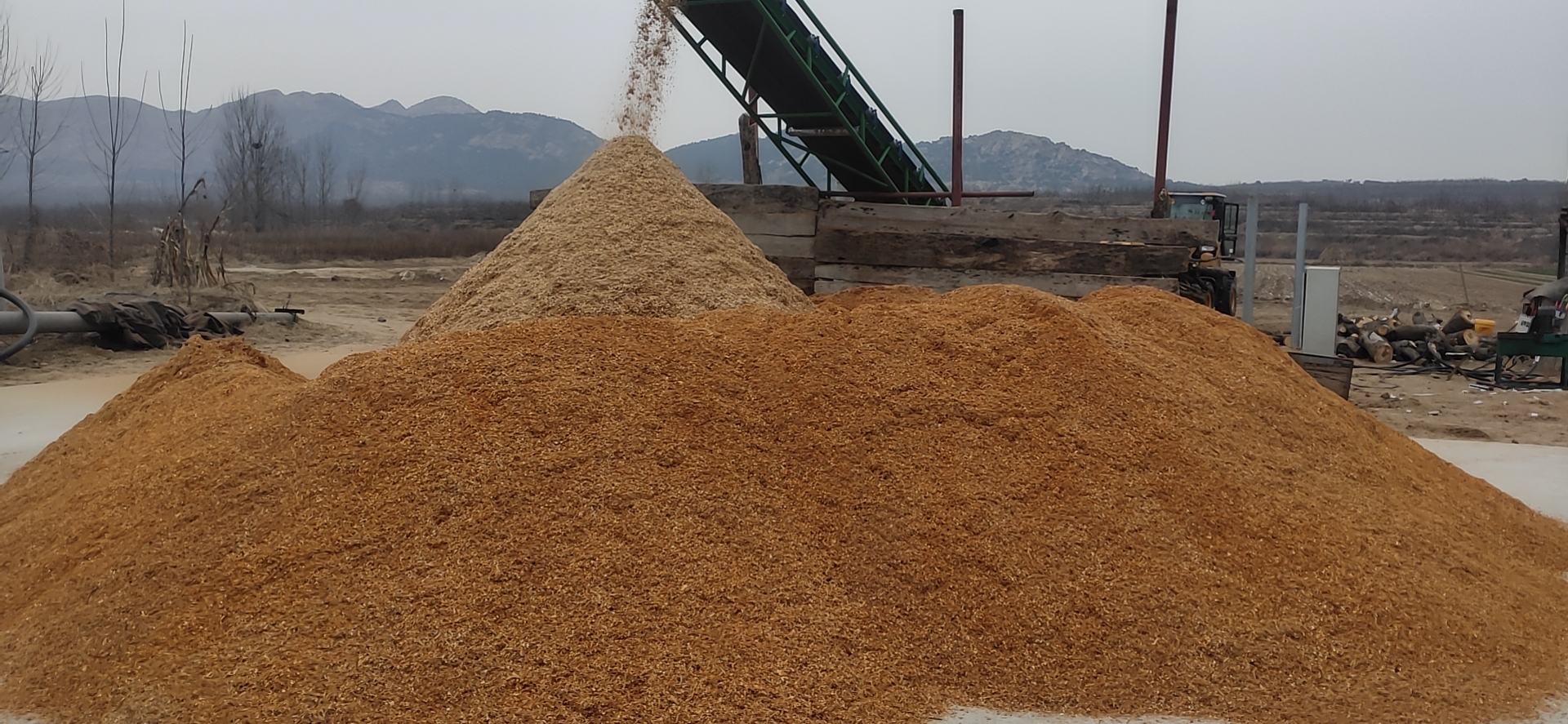 展示黑木耳出耳阶段的管理和环境控制 黑木耳出耳阶段管理示意图