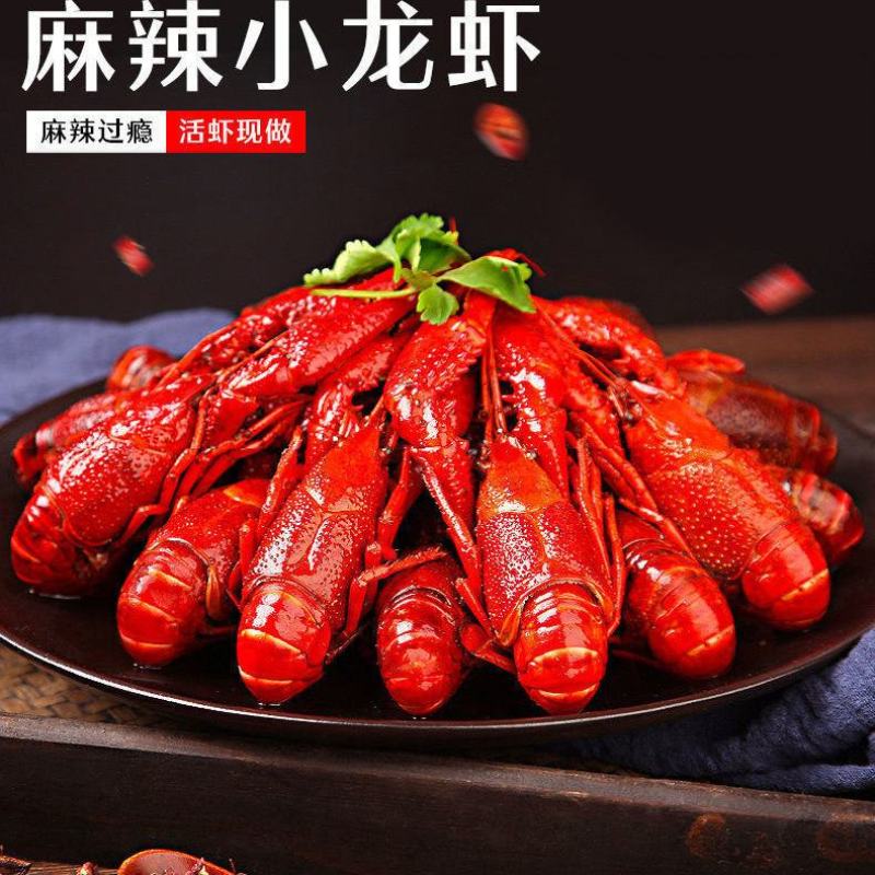 麻辣小龙虾熟食小海鲜鲜活烧制即食小龙虾真空包装大号龙虾香