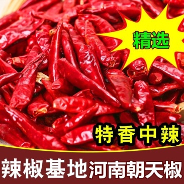 三英椒本人长期供应各种干辣椒辣椒段辣椒面诚信经营优惠