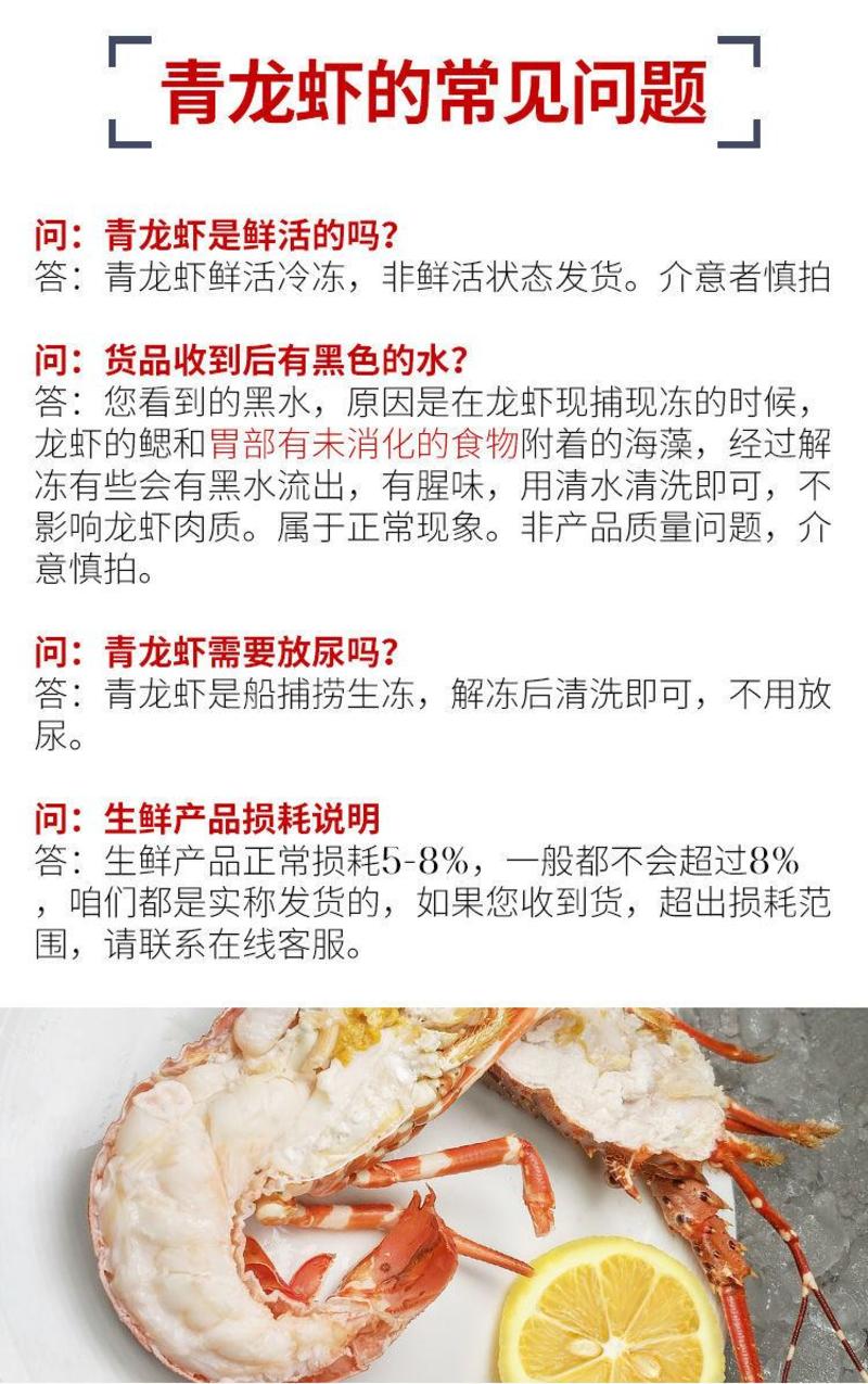 【产地】小青龙虾海鲜鲜活冷冻水产送礼越南青龙虾包邮