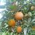 湖南永州江永优质夏橙大量上市了，皮溥味美，个头均匀。