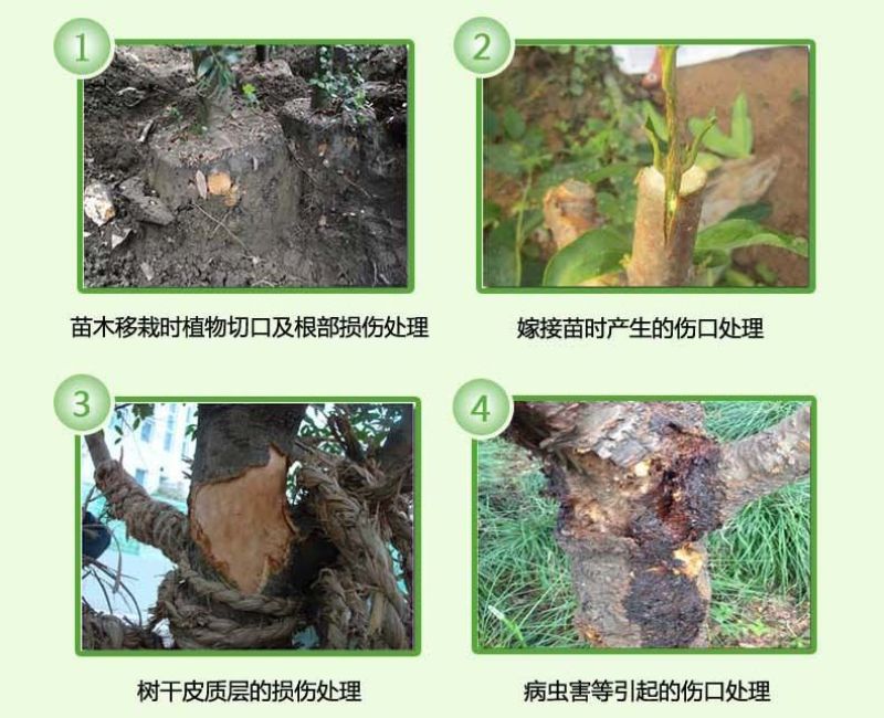 树木伤口愈合剂愈合膏涂补剂盆景植物嫁接果树大树涂切口人工