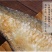 【产地】白磷鱼咸鱼咸鱼咸香鱼清蒸鱼腌制海鱼海鲜包邮