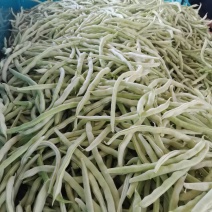 白不老，精品白芸豆大量上市中，代发全国！支持视频看货！