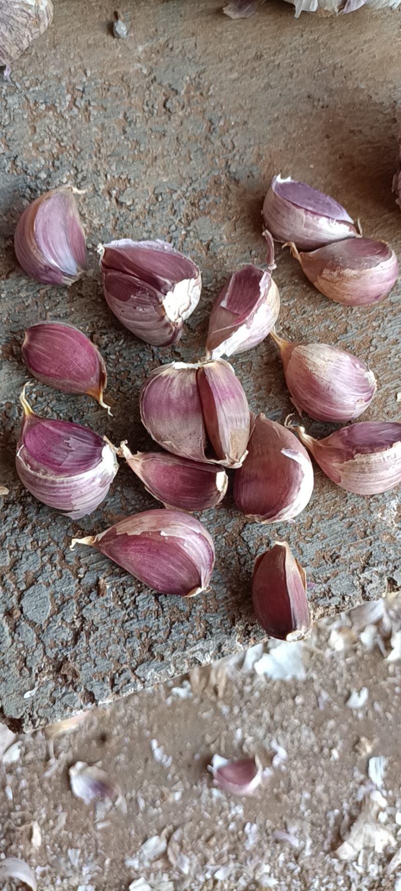 云南红红大蒜，红香蒜，