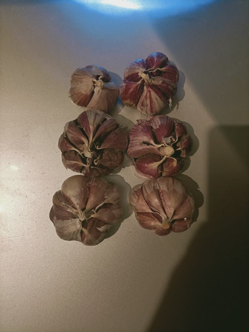 云南红红大蒜，红香蒜，