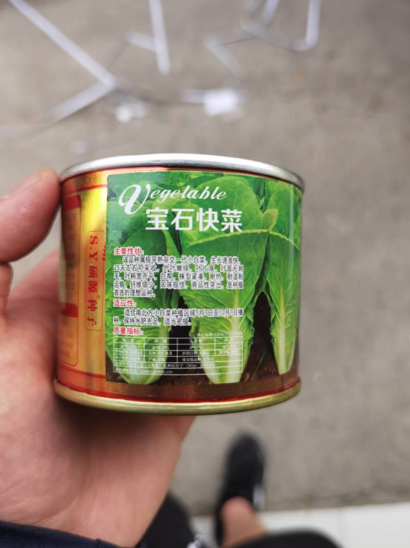 北京硕源高端快菜种子宝石快菜小白菜超黄金快菜耐热夏季蔬菜